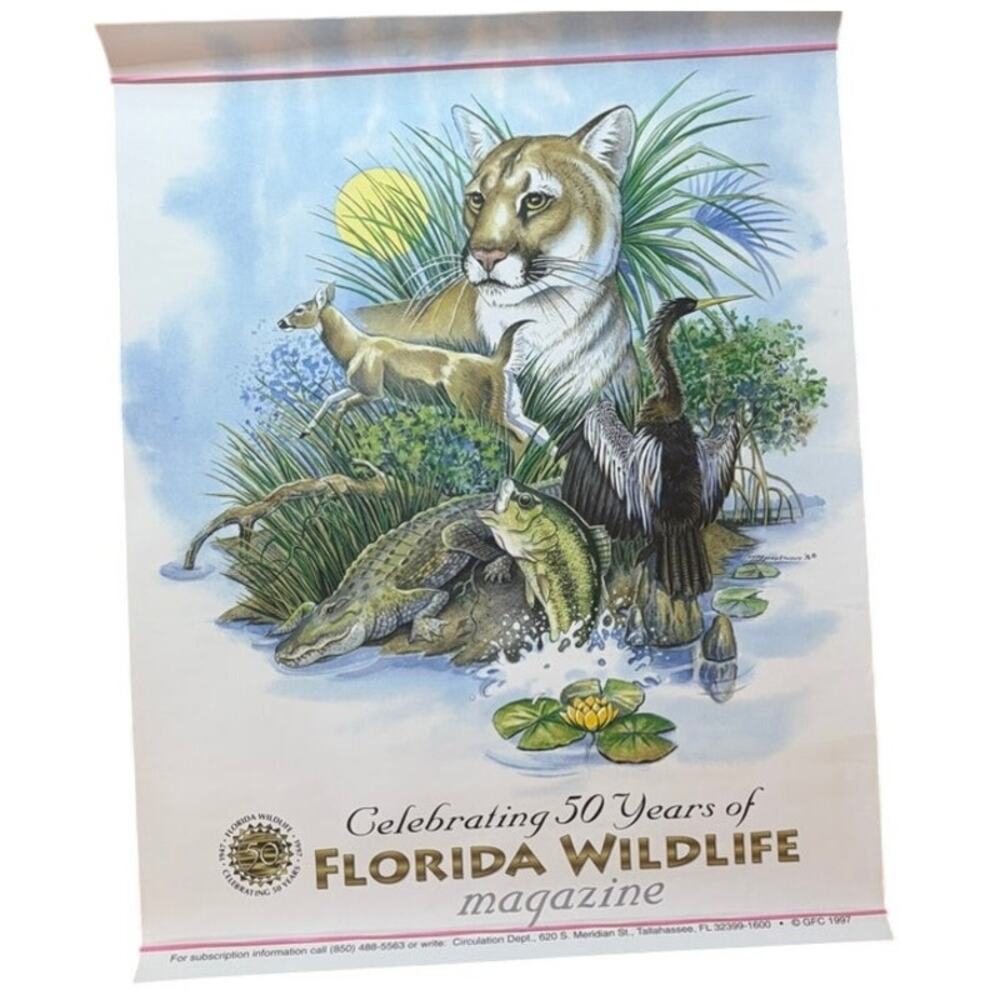 Florida Wildlife Magazine 50th Anniversary Print 1997 - Vintage Florida Art